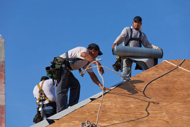 Best Roof Maintenance Services  in Danville, AR