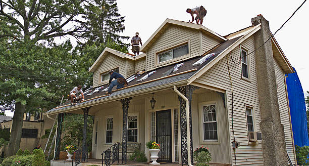 Best Local Roofing Companies  in Danville, AR